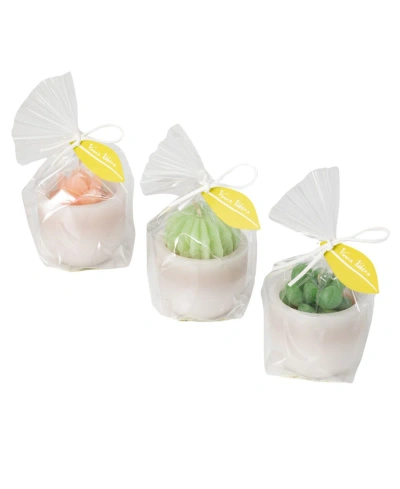 Vance Kitira Succulent Candle, Set Of 3 In Multicolored