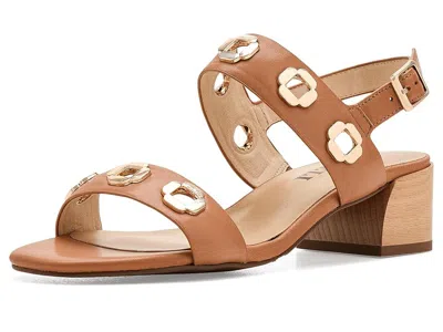 Vaneli Cris In Brown