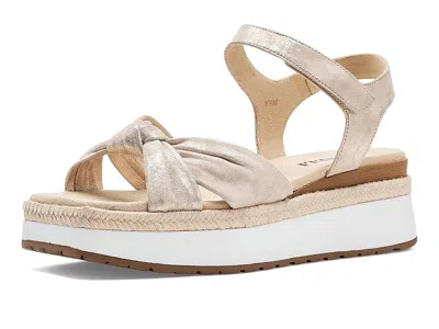 Vaneli Ekon In Neutral