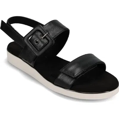 Vaneli Elysha Sandal In Black