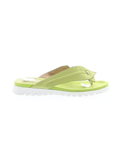 Pre-owned Vaneli Flip Flops In Green