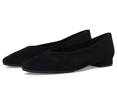 Vaneli Gracie In Black