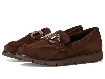 Vaneli Jards In Brown