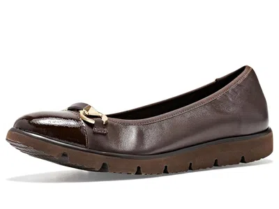 Vaneli Jeena Women's Flat Shoes T. Moro Nappa Combo: 8 M (b) In Brown