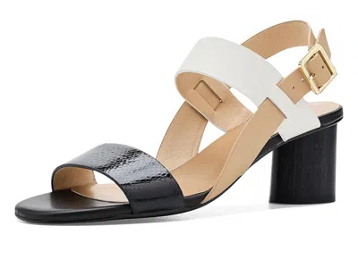 Vaneli Lorian In Multi