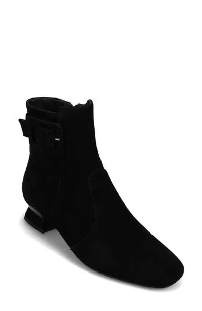 Vaneli Pierot Bootie In Black Suede