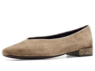 Vaneli Whirl Women's Shoes Taupe Suede/taupe Beda: 11 M (b) In Brown