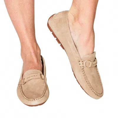 Vaneli Women's Ashlin Loafer In Taupe Suede In Brown