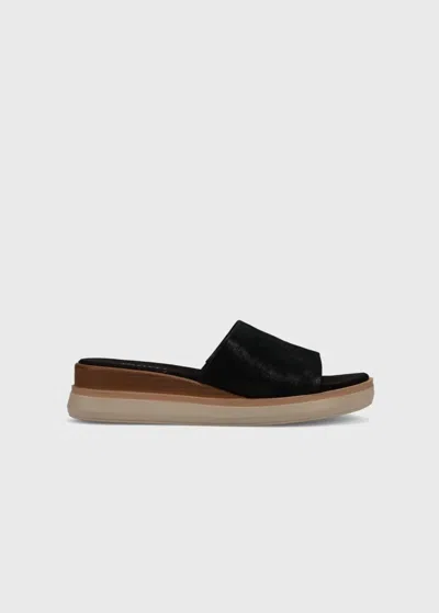 Vaneli Women's Honna Sandal In Black Lisa In Multi