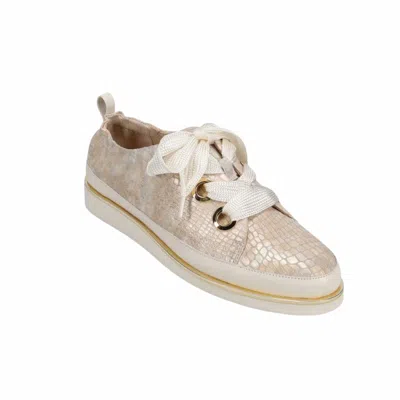 Vaneli Women's Quenda Sneaker In Champagne In Multi