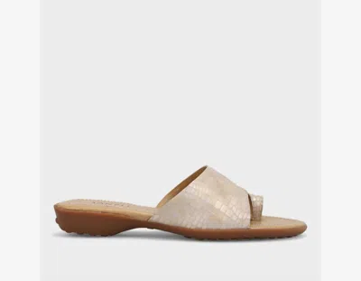 Vaneli Women Tallis Sandal In Champagne Boro In Multi