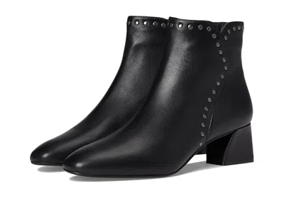 Vaneli Zoey In Black