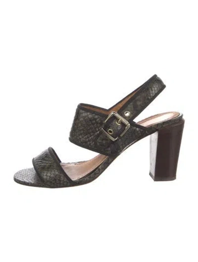 Pre-owned Vanessa Bruno Animal Print Sandals In Green