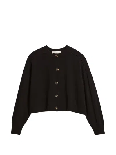 Vanessa Bruno Button-up Raglan-sleeve Cardigan In Brown