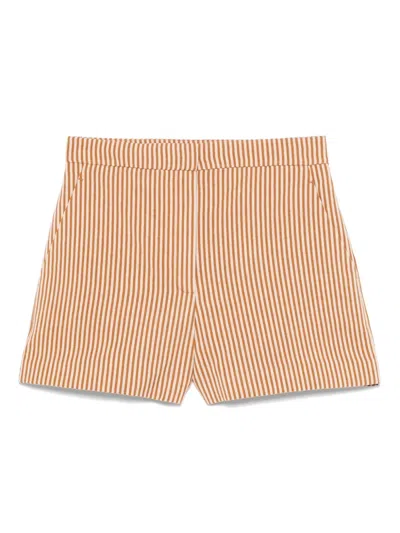 Vanessa Bruno Elisam Shorts In Brown