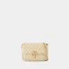 Vanessa Bruno Moon Handbag In Beige