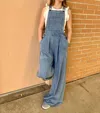 VANILLA BAY IT'S CHAMBRAY OVERALLS IN GREY