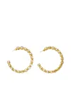 Vanina Nuances Crystal-embellished Hoop Earrings In Gold