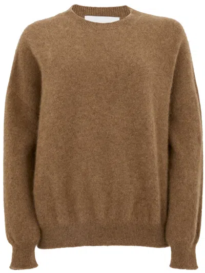 Vanisé Brown Crew-neck Sweater