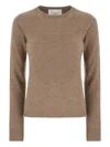 Vanisé Crew-neck Sweater In Brown
