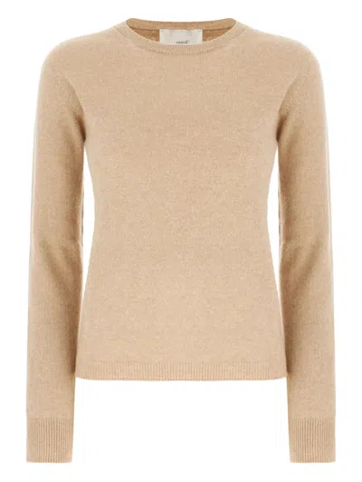 Vanisé Crew-neck Jumper In Brown
