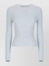 Vanisé Fitted Ribbed Knit Sweater With Long Sleeves In Blue