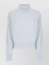 Vanisé Long Sleeve Ribbed Turtleneck Sweater For Women In Blue