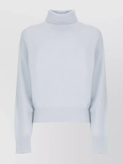 VANISÉ LONG SLEEVE RIBBED TURTLENECK SWEATER FOR WOMEN