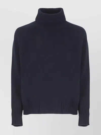 VANISÉ MERINO WOOL TURTLENECK LONG SLEEVE KNITWEAR