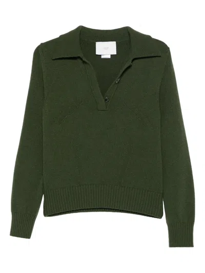 Vanisé Polo-collar Sweater In Green