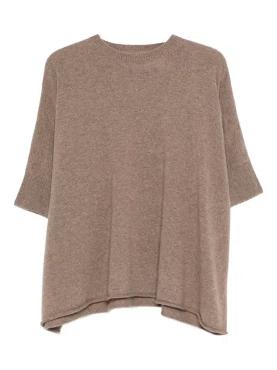 Vanisé Short-sleeve Knit Top In Brown