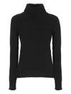 Vanisé Cashmere Turtleneck Sweater Long Sleeves In Black