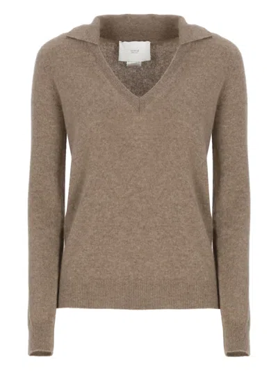Vanisé V-neck Collared Polo Shirt In Brown