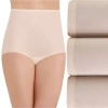Vanity Fair Perfectly Yours Ravissant Nylon 3 Pack Brief Panty - 15711 In Neutral