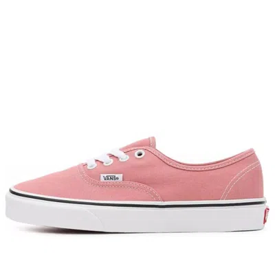 Vans Authentic Sneakers 'pink White' In Multi
