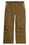 Vans Hellbound 2.0 Snow Pants In Brown