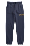 Vans Kids' Next Stop Graphic Sweatpants In Parisian Night