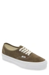 Vans Premium Authentic Reissue Sneaker In Lx Pig Suede Sea Turtle