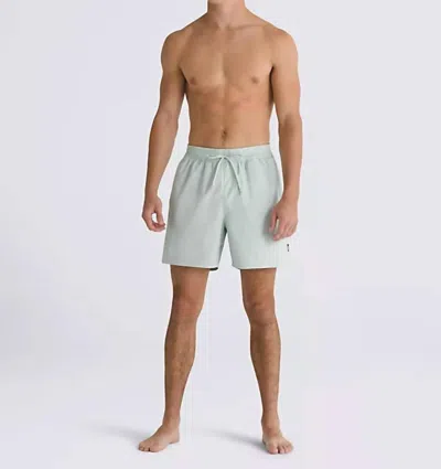 Vans Primary Solid Elastic Boardshorts In Pale Aqua In Multi