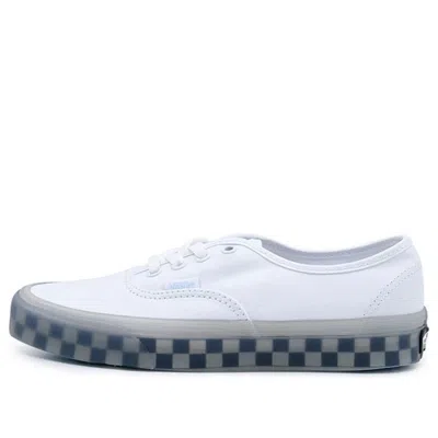 Vans Shoes Skate Shoes 'white Blue'