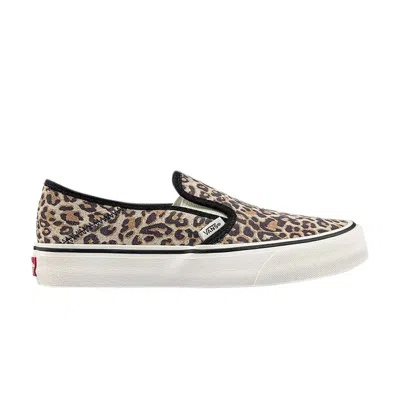 Pre-owned Vans Slip-on Sf 'cheetah' In Brown