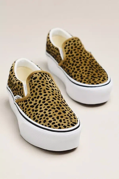 Vans Stackform Spotted Sneakers In Brown