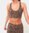 VARLEY FORM PARK BRA IN COCOA ETCHED ANIMAL
