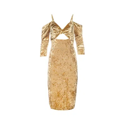 Vasiliki Atelier Women's Gold Filiya Crushed Velvet Dress Biscotti