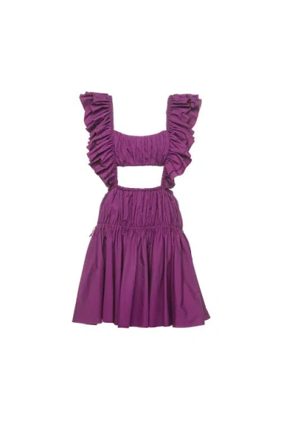 Vasiliki Dahlia Ruched Mini Dress In Purple