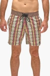 Vast Peace Stretch Board Shorts In Multi