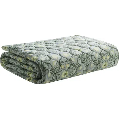 Vcny Home Whisper 3-piece Quilt Set In Green