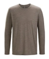 Veilance Frame Long-sleeved T-shirt In Brown