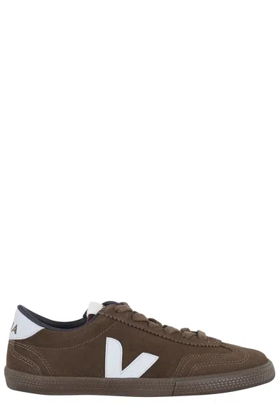Veja Volley Eagle Swan Eagle Sneakers In Brown