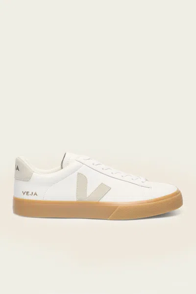 Veja Campo Leather Sneaker In White Natural In Multi
